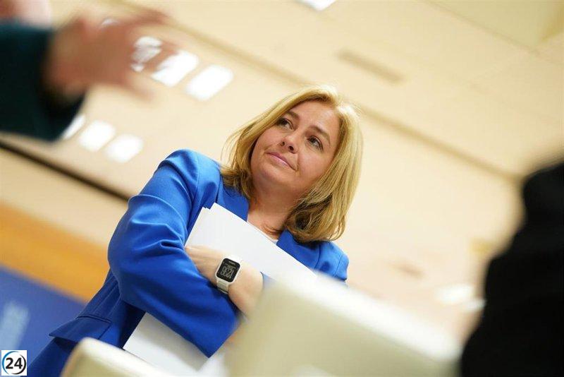 Madrid se aferra a recuperar ordenanza de terrazas como en 2013.