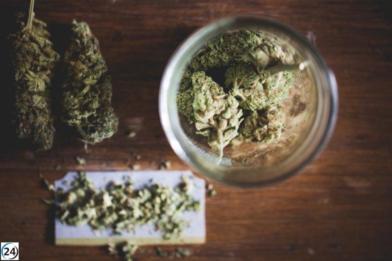 Ayuso impulsa legislación para mantener a los menores alejados de productos de cannabis.