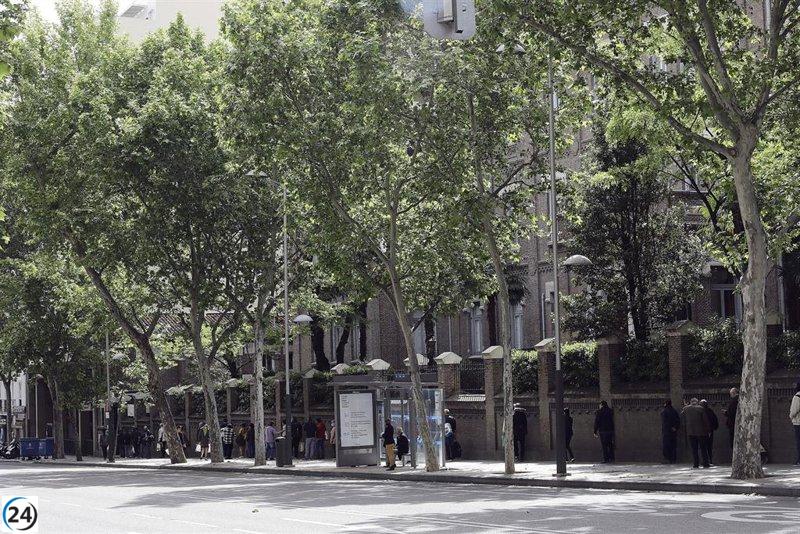 El IMV alcanza al 13,1% de la población vulnerable de Madrid, superando la media nacional