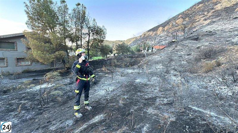 Las autoridades logran extinguir un incendio forestal en San Martín de la Vega.