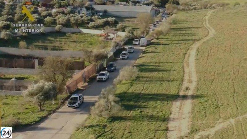 La Guardia Civil inicia investigación a 81 individuos por edificaciones irregulares en la zona.