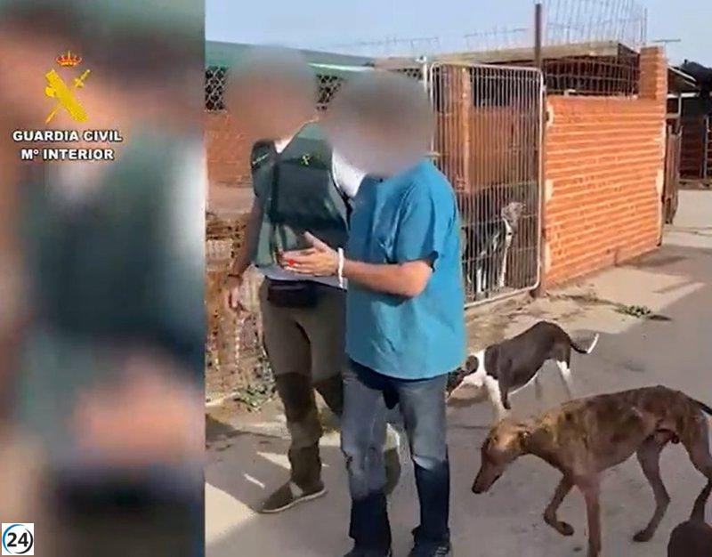 Guardia Civil indaga a un hombre tras descubrir tres perros muertos y once en estado crítico en Cadalso.
