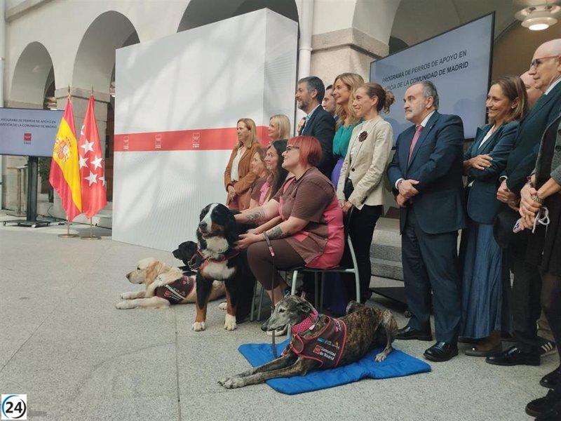 El papel de los perros de apoyo en juzgados para menores aumentará un 25% en 2024, beneficiando también a mujeres víctimas.