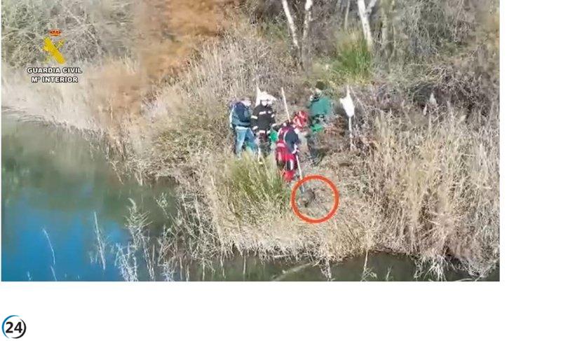 Detenido un sospechoso y otro bajo investigación por el hallazgo de un perro ahogado atado a bloques de cemento en Arganda.