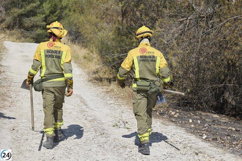 Bomberos luchan contra un incendio forestal en Villa del Prado, Madrid.
