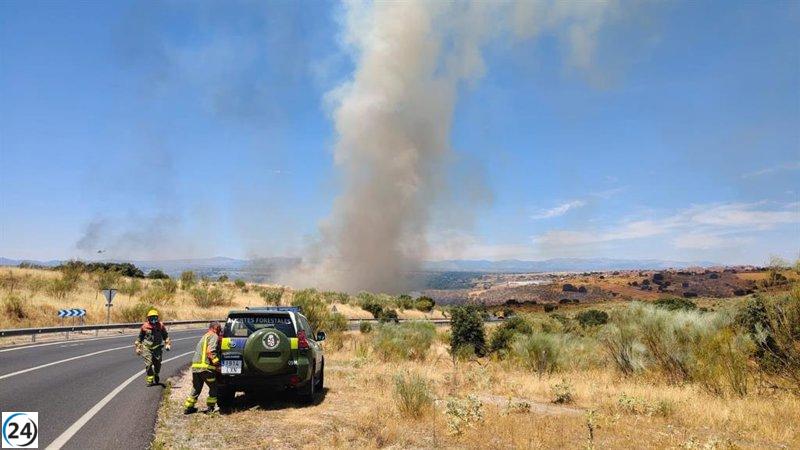 Bomberos luchan contra incendio forestal en la Ribera de San Pedro, Arroyomolinos.