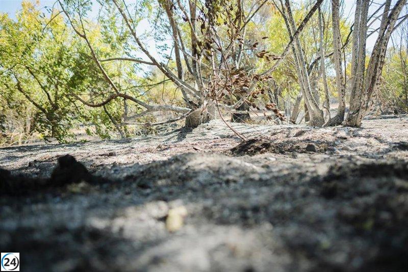 Méntrida logra controlar el avance del incendio forestal.