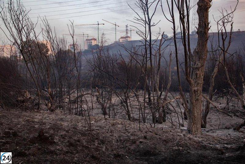 Un muerto y 1.500 hectáreas devastadas en el incendio de Tres Cantos, que avanza hacia su control.