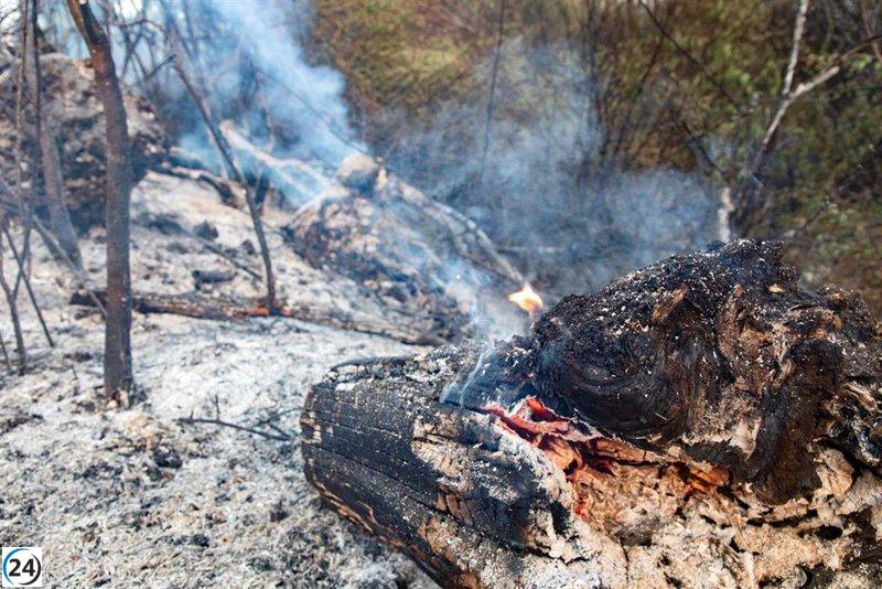 La Comunidad pedirá que Soto de Viñuelas sea declarada zona severamente impactada por el incendio de Tres Cantos.