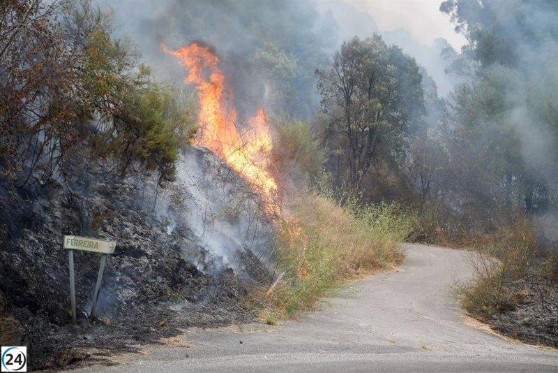 La Comunidad evoca la propuesta de Ayuso sobre una Secretaría de Estado de Emergencias presentada en diciembre.