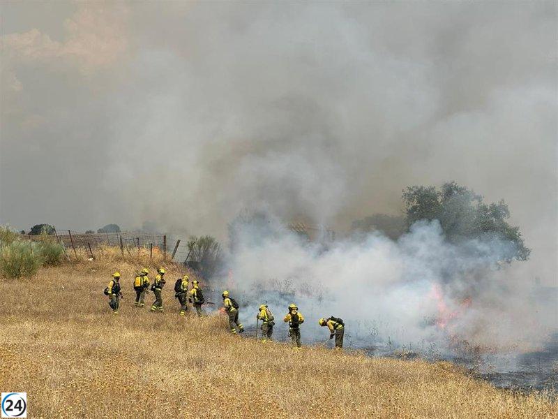 El Gobierno reconoce a Aranjuez como área afectada por el incendio de agosto.