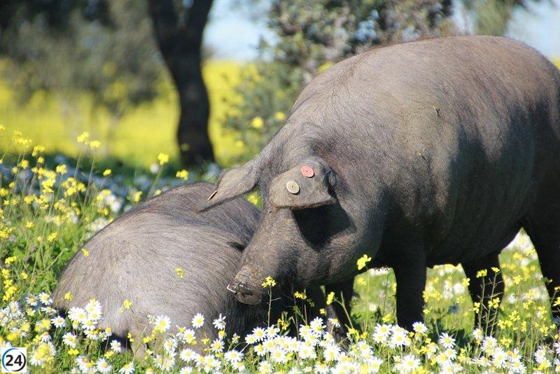 Agentes Forestales de la Comunidad llegan a Barcelona para combatir la peste porcina.