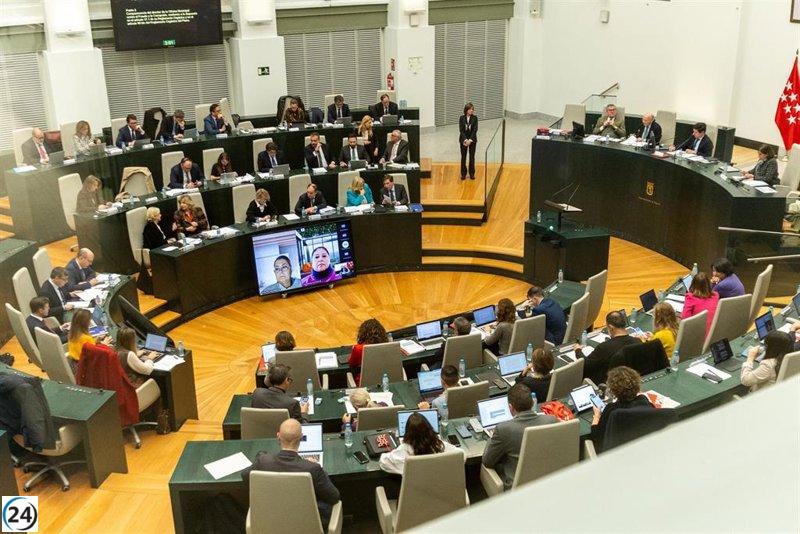 Cibeles cierra el año con doble sesión de plenos mientras los niños de San Ildefonso buscan la fortuna.