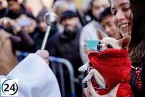 San Antón: una celebración vibrante de mascotas y tradiciones con bendiciones, dulces y música.
