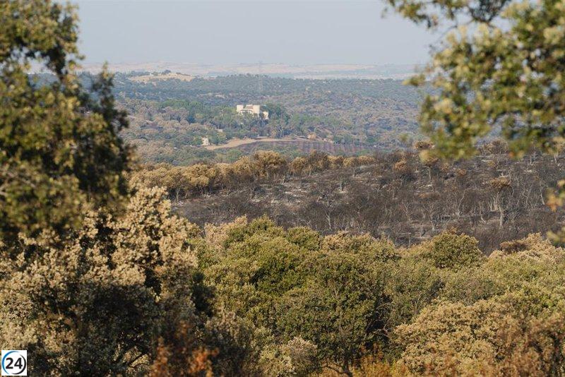 La Comunidad tomará medidas legales contra agresiones al medio ambiente y obstáculos en eventos públicos.