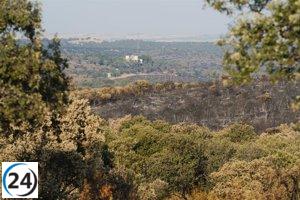 La Comunidad tomará medidas legales contra agresiones al medio ambiente y obstáculos en eventos públicos.