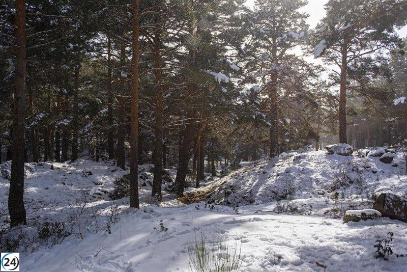 La Comunidad declara el Nivel 0 del Plan de Inclemencias Invernales por alertas de nieve.