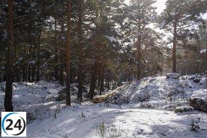La Comunidad declara el Nivel 0 del Plan de Inclemencias Invernales por alertas de nieve.