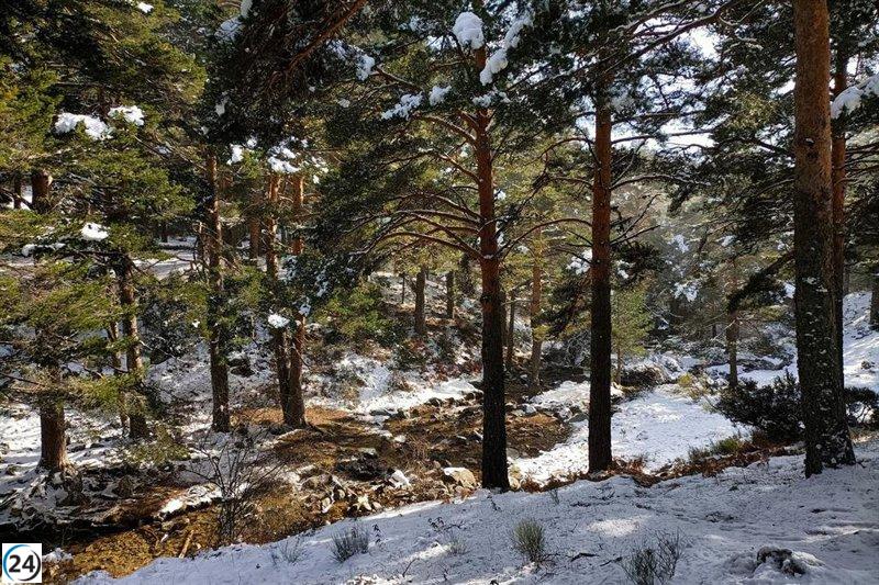 Alertan por vientos de hasta 80 km/h en la Sierra este domingo.