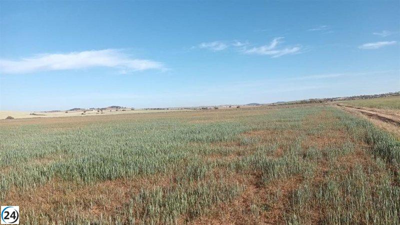 La CHT suministra agua a regantes de acuerdo a normativa.