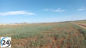 La CHT suministra agua a regantes de acuerdo a normativa.