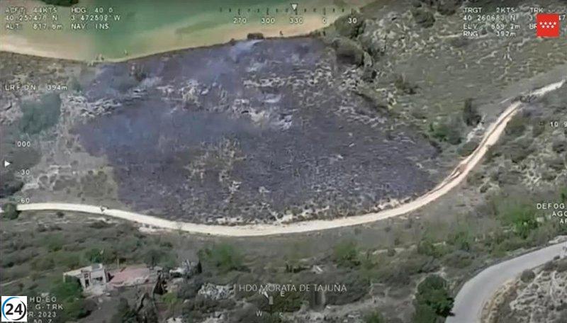 Prohíben uso de fuego en terreno forestal de Madrid por semana completa.