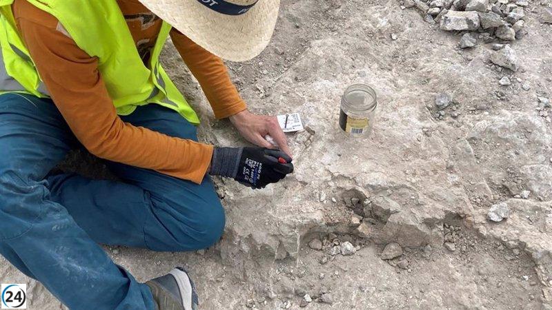 Descubiertos restos antiguos de elefantes en la capital después de 14 millones de años.