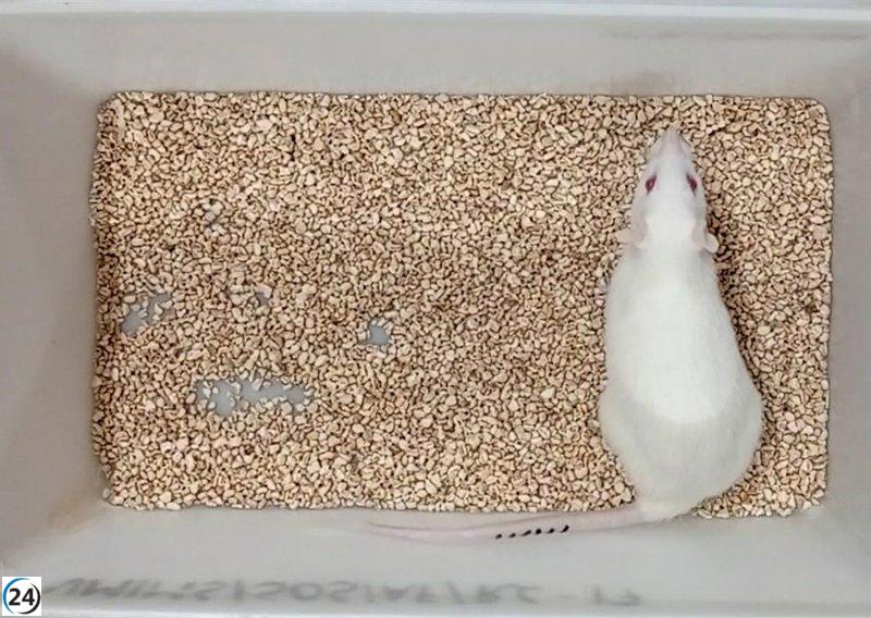 Especialistas critican solicitud de Eurocámara de prohibir pruebas en animales, pese a su potencial para combatir diversas enfermedades.