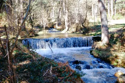 Disfruta de la naturaleza en Madrid