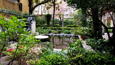 Explora los jardines más bonitos de Madrid