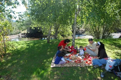 Descubre los mejores lugares para hacer picnic en Madrid