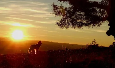 Vive un atardecer inolvidable en Madrid