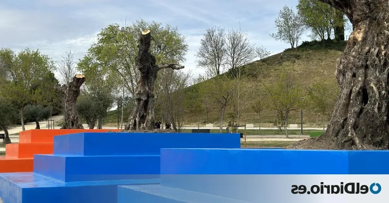 Parque Juan Carlos I: la naturaleza en la modernidad